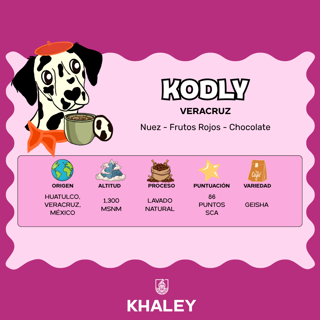 KODLY CAFÉ - KHALEY