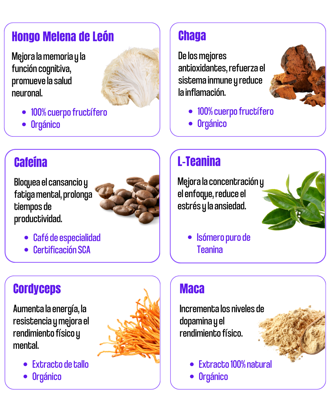 8 CAFÉS KHALEY + 2 CAFÉS DE REGALO ☕️🎁 🥳